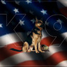 Angie's profile picture