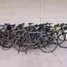 自転車とパン好き's profile picture