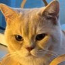 Profilbild von MAO MAO