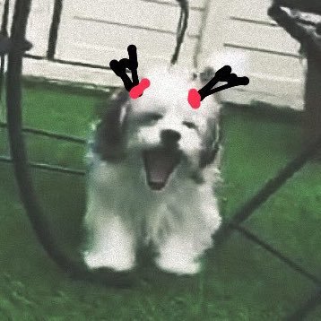 るるるるidentity's profile picture