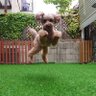 ばんぺいゆ profil fotoğrafı