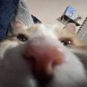 Tedegato profil fotoğrafı