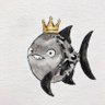 PEIXUDO 的头像