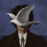 Divine Wave's profile picture