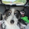 Profilbild von MarkE