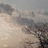 Фото профиля 天音。