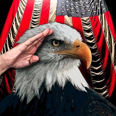 YOU•CANT•STOP•FREEDOM's profile picture