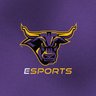 Maverick Esports 的头像