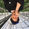 FUKU|組織開発|ゆるふわ窓際管理職 的头像