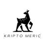 Profilbild von MERİÇ