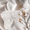 Фото профиля liix