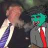 жабка 🐸's profile picture