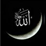Hakikat bekçisi's profile picture