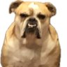 RSO's profile picture