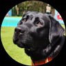 Sylvia๐'s profile picture