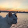 Yunus byrm profil fotoğrafı