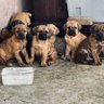 Nkunzi profil fotoğrafı