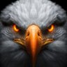 Maureen Schroeder 🇨🇦 🇺🇸's profile picture