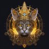 Фото профиля Med Allibou Zmouri