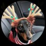 Profilbild von faus piroca