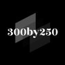 300by250 的头像