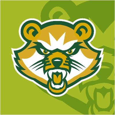 SVC_Bearcats's profile picture