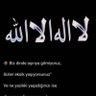 Фото профиля osman teymur