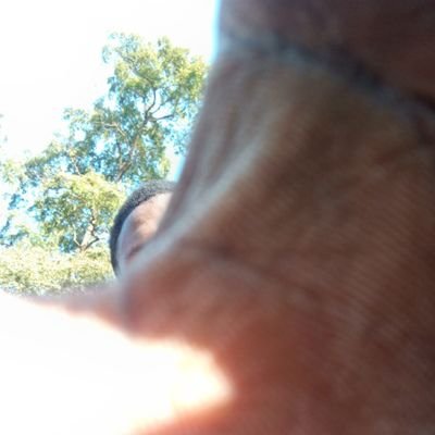 vek_ate's profile picture