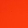 TEON's profile picture