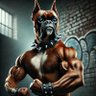 Фото профиля TOPDAWG