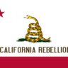 California Rebellion ๐'s profile picture