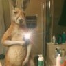Andrey's profile picture