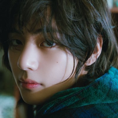 Seagull🕊️'s profile picture