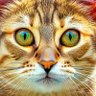 Daemonuim's profile picture