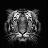 .'s profile picture