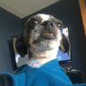DA BarOch's profile picture