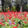 Фото профиля CCCVV1010678