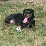 Bruce's profile picture