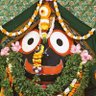 Profilbild von behera shree
