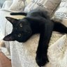 Gina profil fotoğrafı