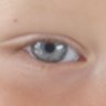 Profilbild von Rexpeedworthy