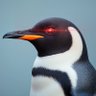 Red Pill Penguin profil fotoğrafı