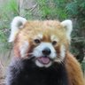 たむたむ@'s profile picture