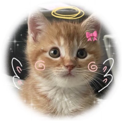 Genius J.🐈⚡️'s profile picture