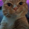 M's profile picture