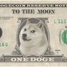 DOGG 的头像