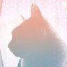 銀の花's profile picture
