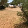 عبدالعزيز التميمي profil fotoğrafı