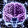 Profilbild von Natural Think Tank 💎 | Sparking Minds