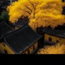 龍門客栈's profile picture